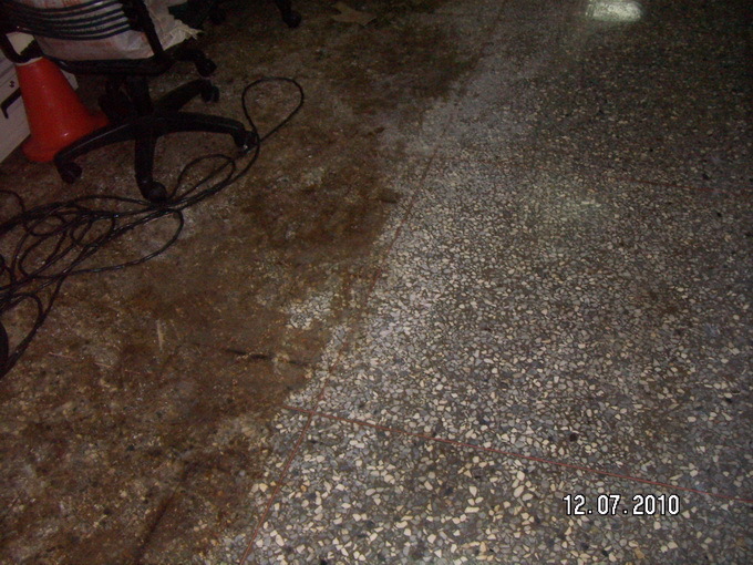 彰化地毯拆除後除膠清洗